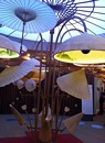 Expo 2015 vista dai turisti SPI