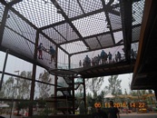 Expo 2015 vista dai turisti SPI