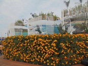 Expo 2015 vista dai turisti SPI