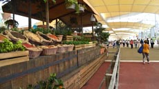 Expo 2015 vista dai turisti SPI