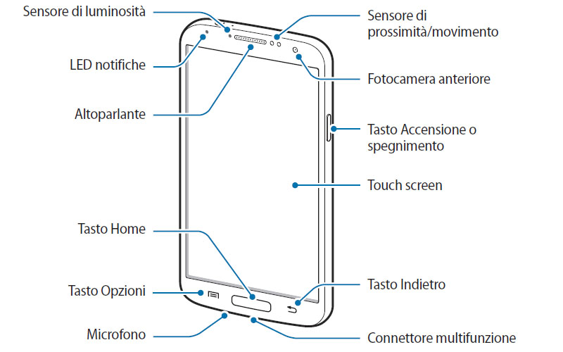 mappa ant