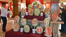 Tour della Turchia organizzato da SPI