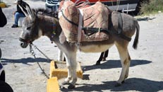 Tour della Turchia organizzato da SPI