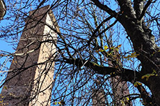 Giornata del volontario 2025