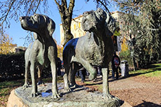 Giornata del volontario 2025