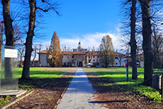 Il lungo viale d'ingresso verso la Certosa
