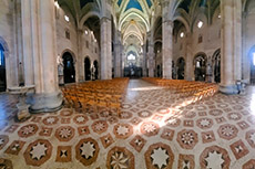 Giornata del volontario 2025